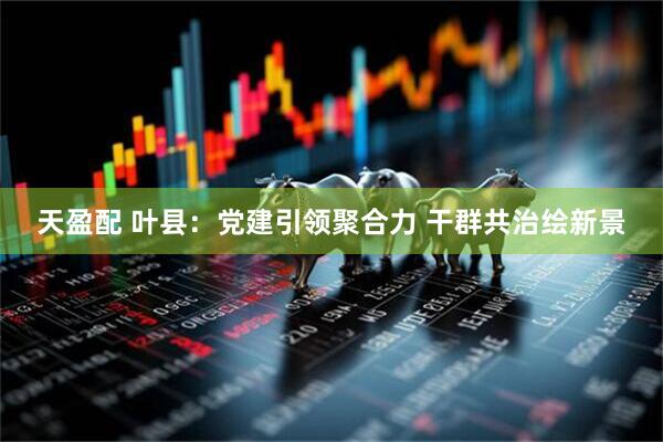 天盈配 叶县：党建引领聚合力 干群共治绘新景