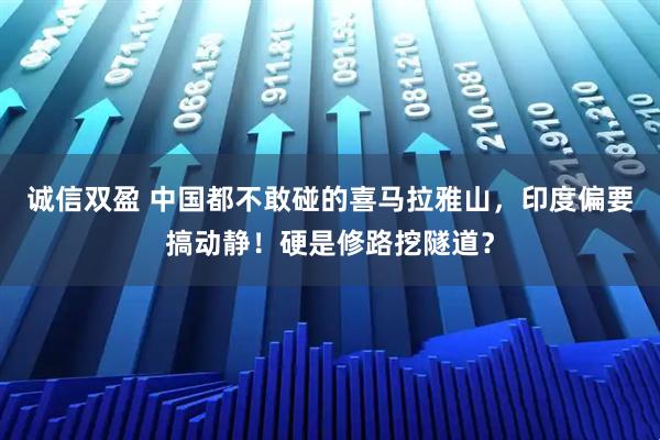 诚信双盈 中国都不敢碰的喜马拉雅山，印度偏要搞动静！硬是修路挖隧道？
